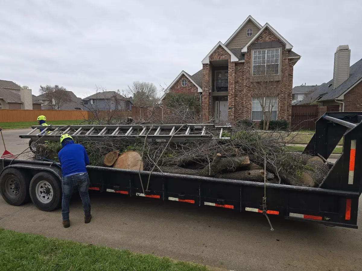Expert Lot Clearing with proper safety equipment in Central